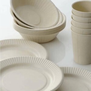 Paper Cups & Paper Plates